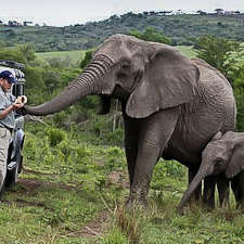 The Elephant Whisperer